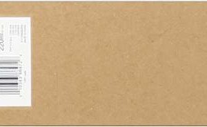 Epson T6062 Cyan Cartucho de Tinta Original - C13T606200