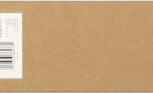 Epson T6067 Negro Light Cartucho de Tinta Original - C13T606700